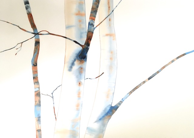 Coffee Creek Birches 1, 22