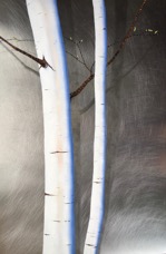 Two Tall,  comission reference.jpg