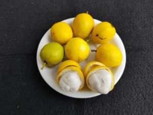 Caderninho de Receitas - Creme de Bacuri